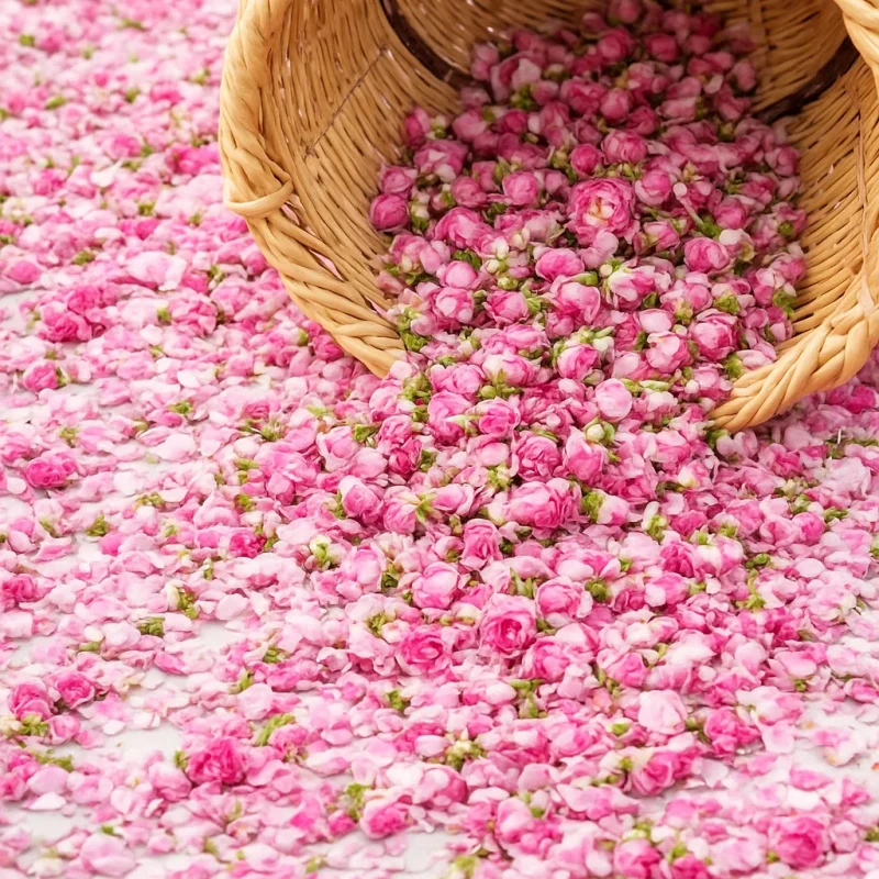 Moroccan Damask Rose (Rosa damascena) | Bulk Export Supplier