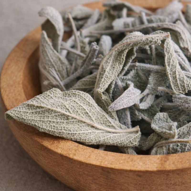 Moroccan Sage (Salvia officinalis) Bulk Export Supplier
