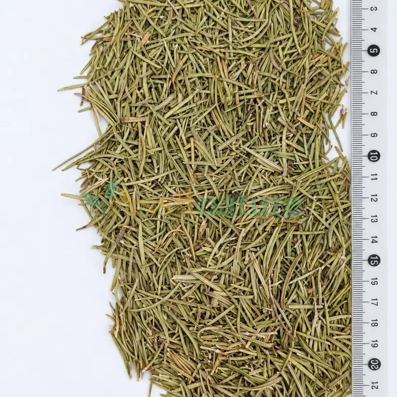 Moroccan Dried Rosemary Leaves Whole Leaves Bulk Supplier