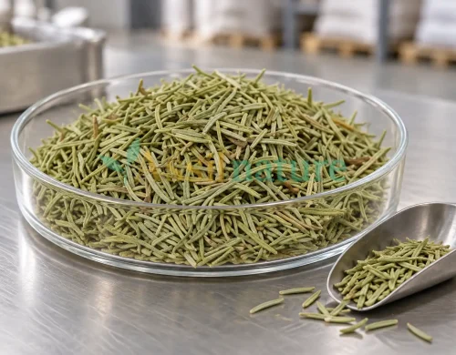 Rosemary Certificate of Analysis: What Bulk Buyers Should Check
