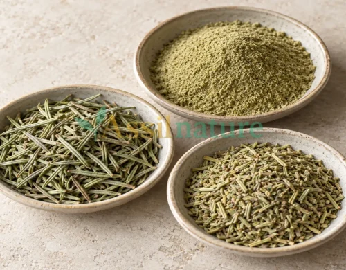 Dried Rosemary Quality Specifications: A Bulk Buyer’s Guide